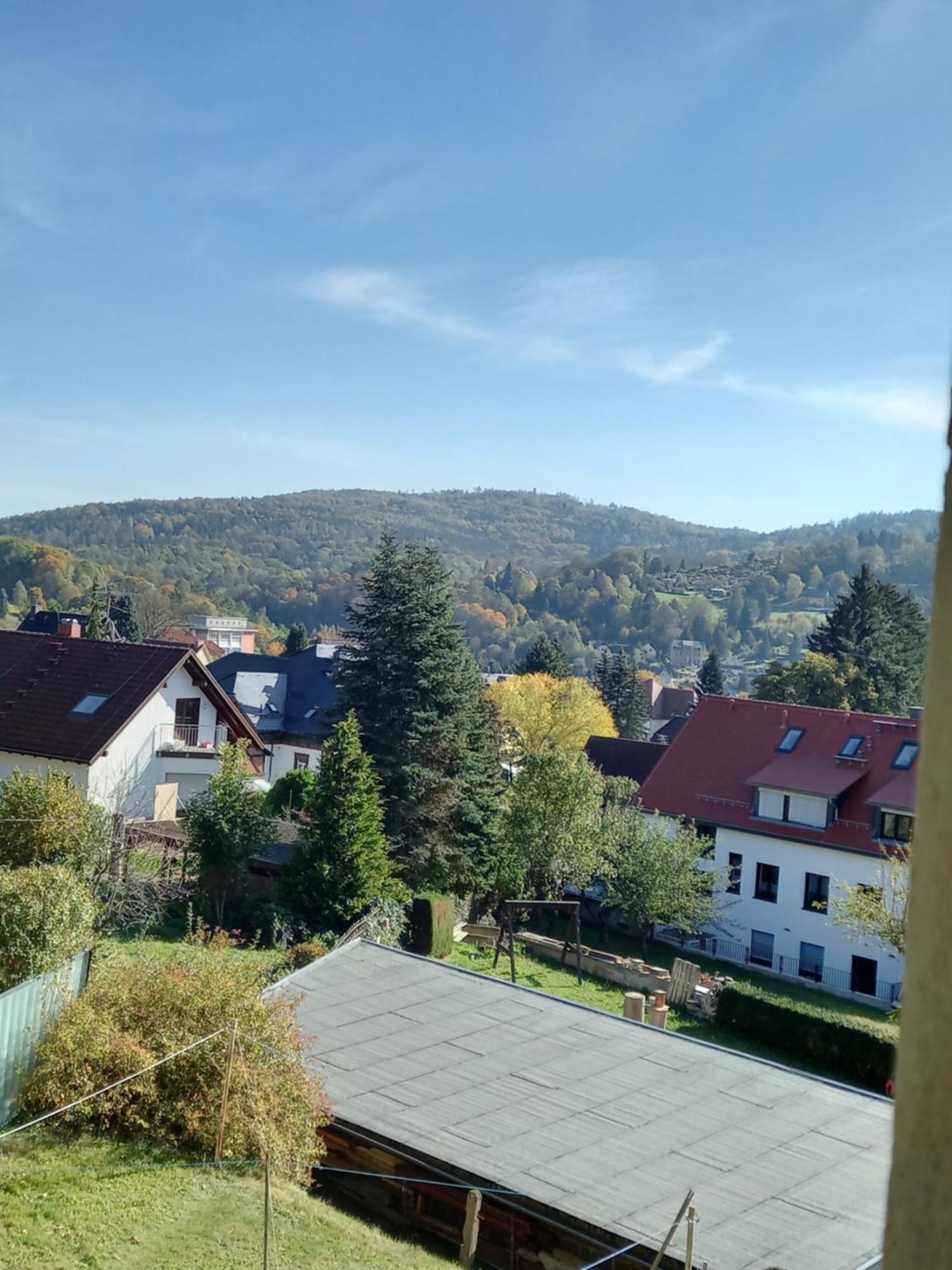 Ferienwohnung Finkenberg Sebnitz Bagian luar foto